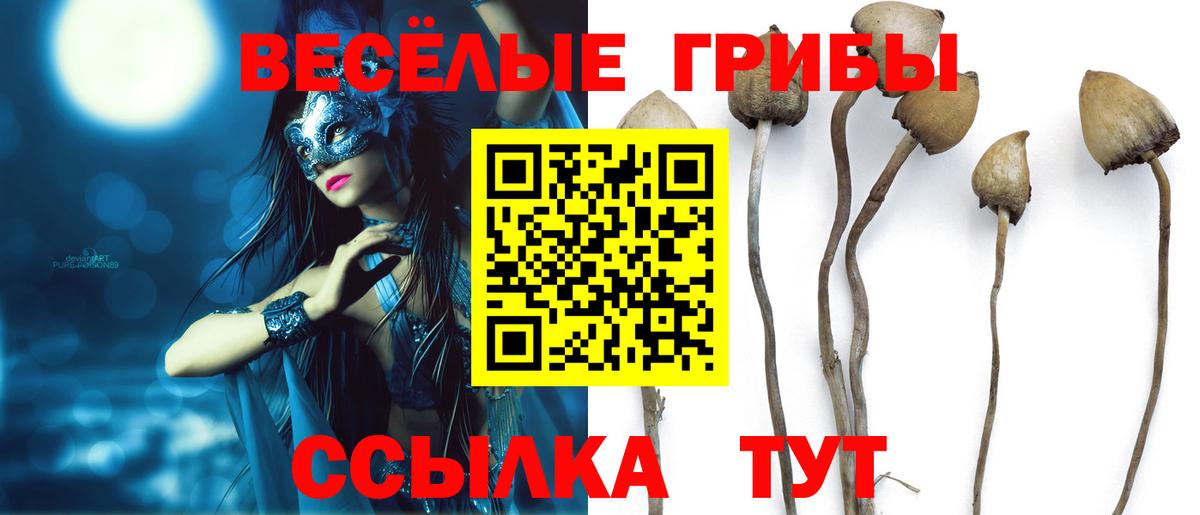 Галлюциногенные грибы мицелий Прокопьевск